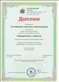 Диплом за подготовку победителя всероссийского конкурса "Изумрудный город"
